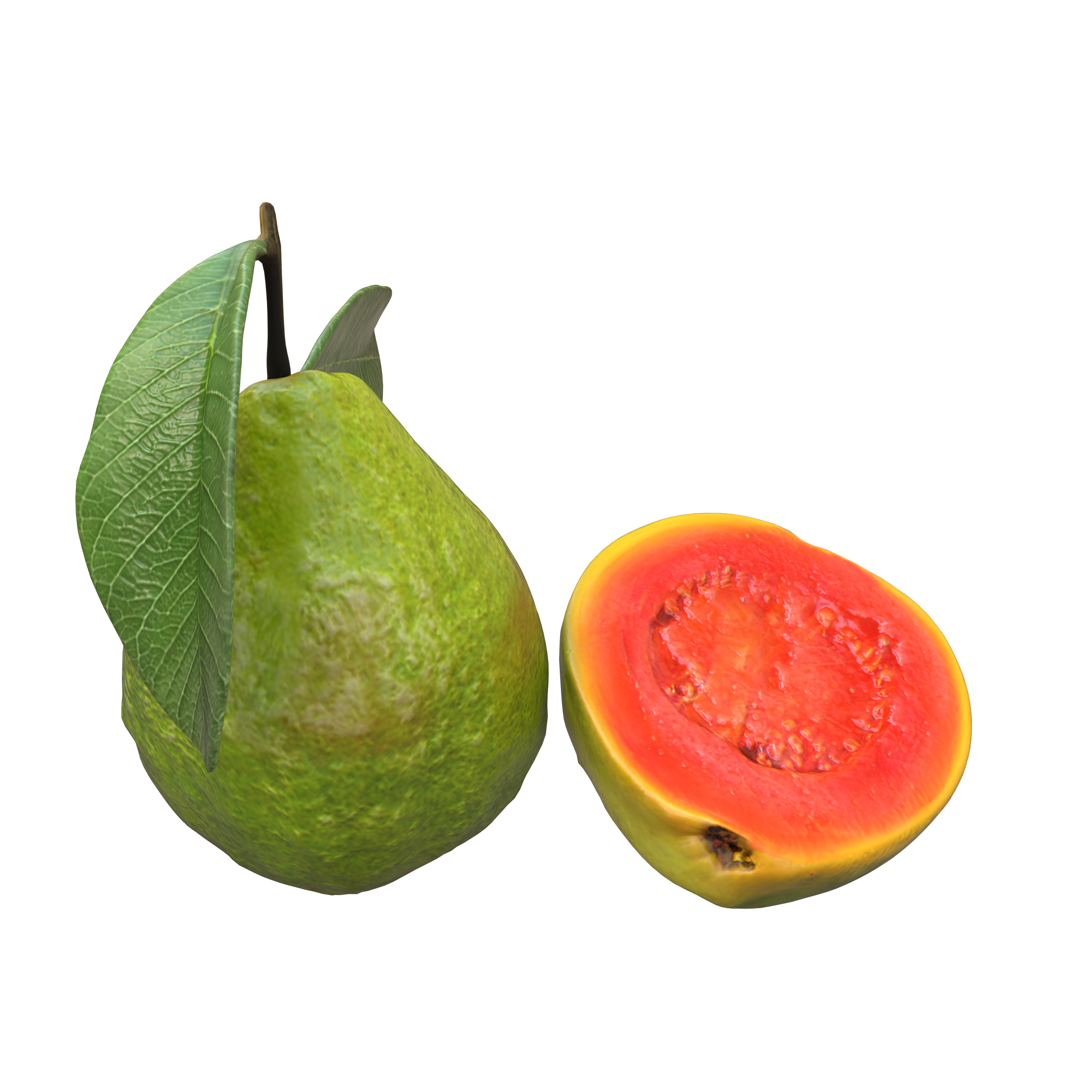  Guava  Low-poly 3D model_18