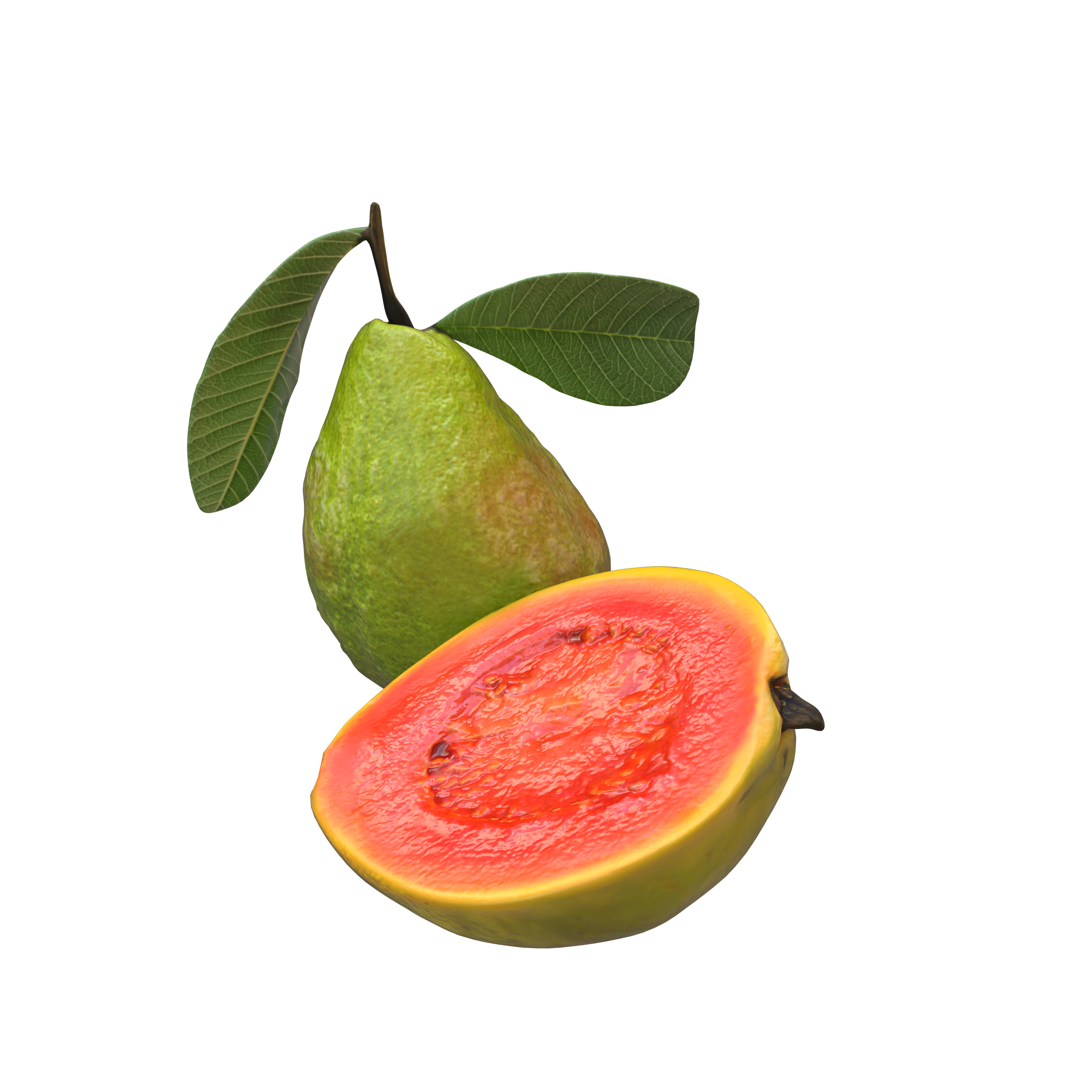  Guava  Low-poly 3D model_12