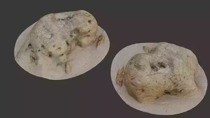 Eroded Coastal Rock - 