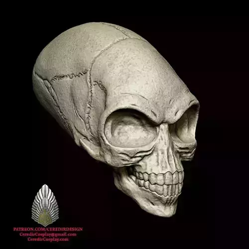 Indiana Jones Crystal Skull 3D DIGITAL DOWNLOAD