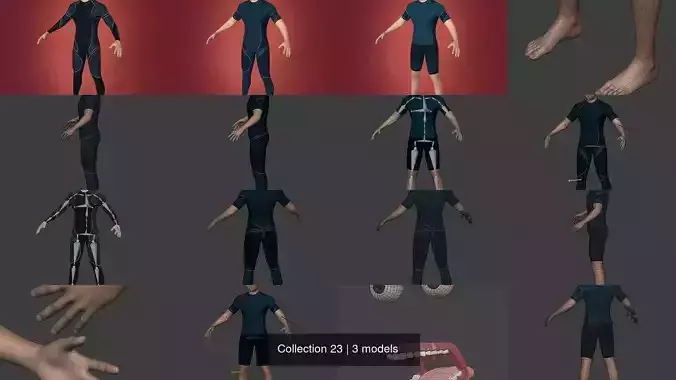 Collection 23 