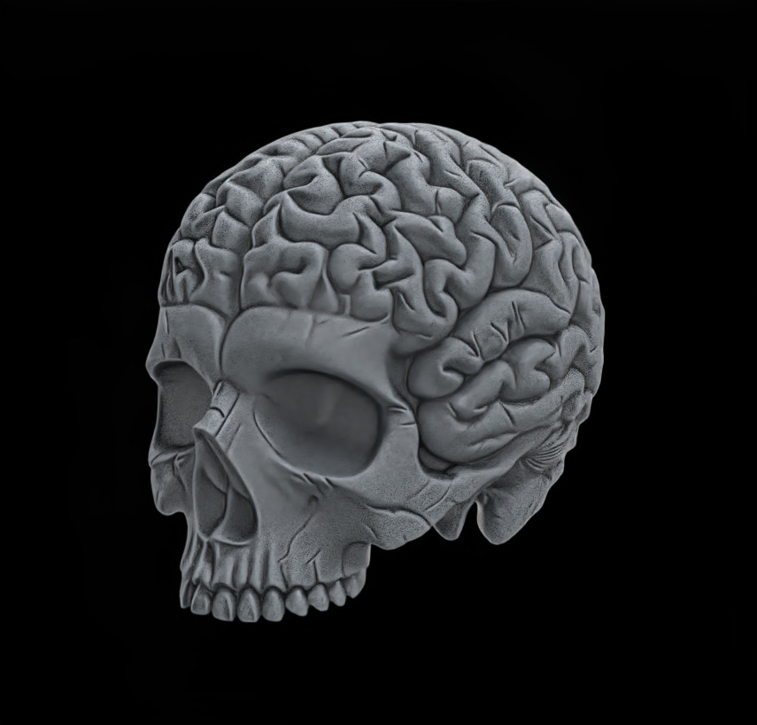 Anatomical Skull with Exposed Brain 3D Model for CNC 3D print model_1