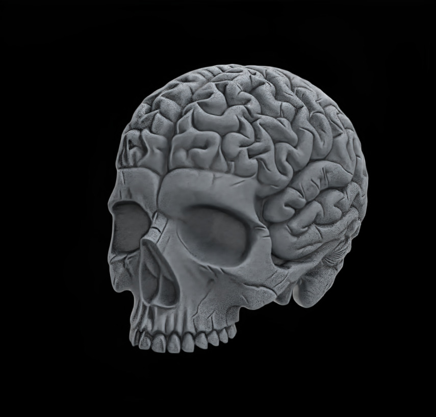 Anatomical Skull with Exposed Brain 3D Model for CNC 3D print model_5