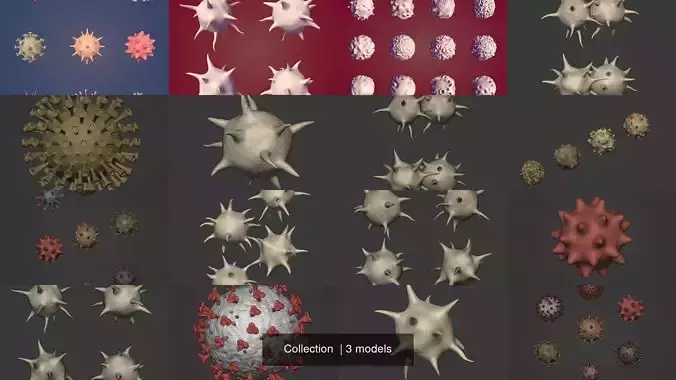 Collection  