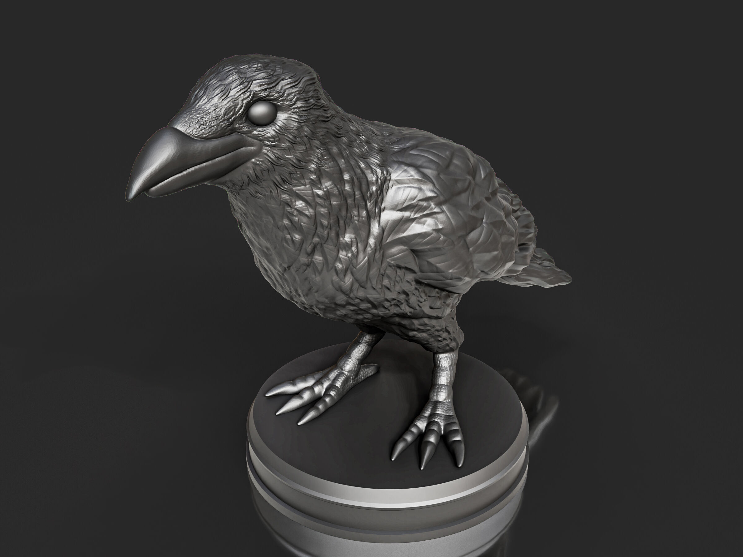 Realistic Crow Bird 3D print model_5
