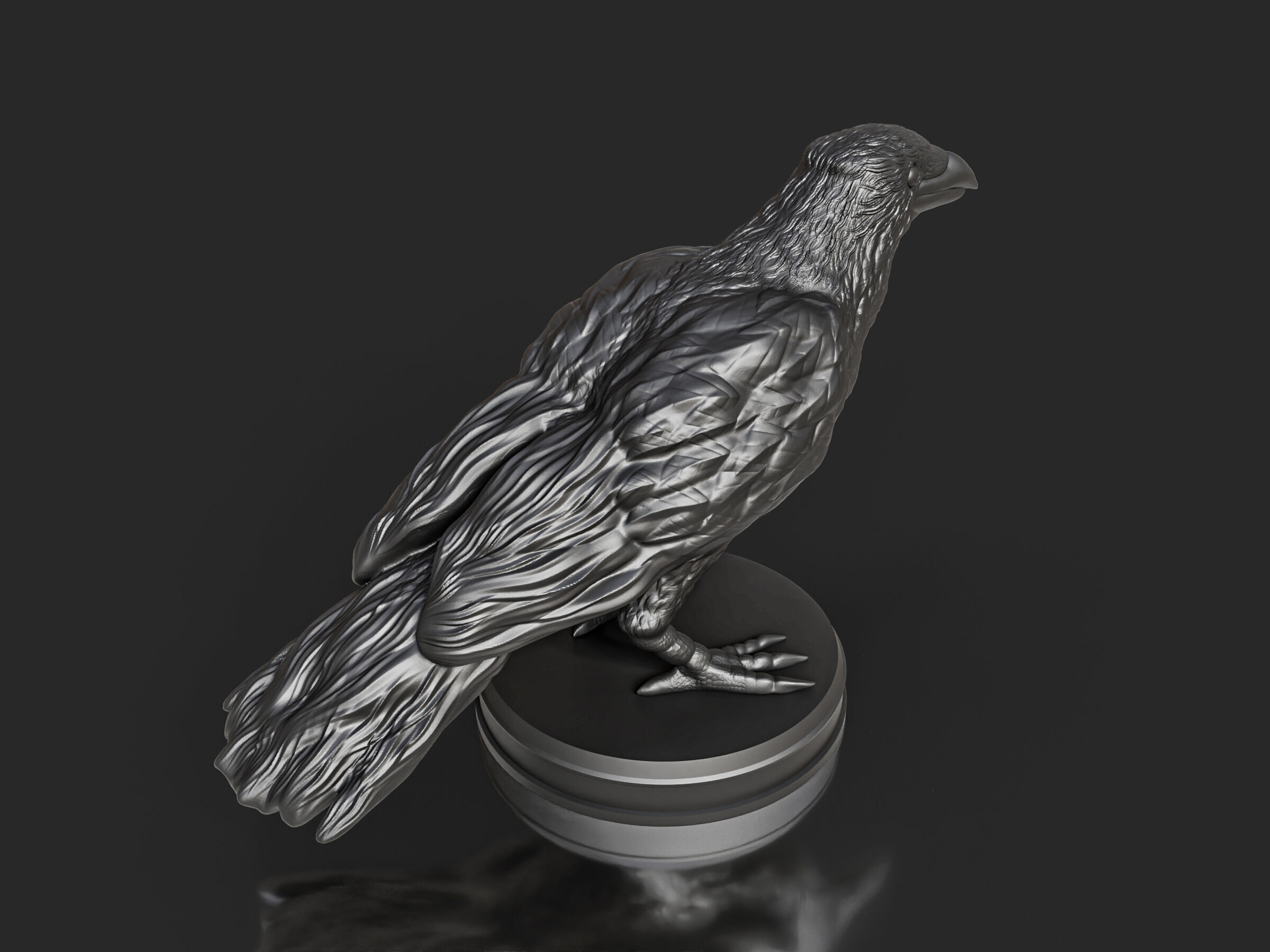 Realistic Crow Bird 3D print model_3