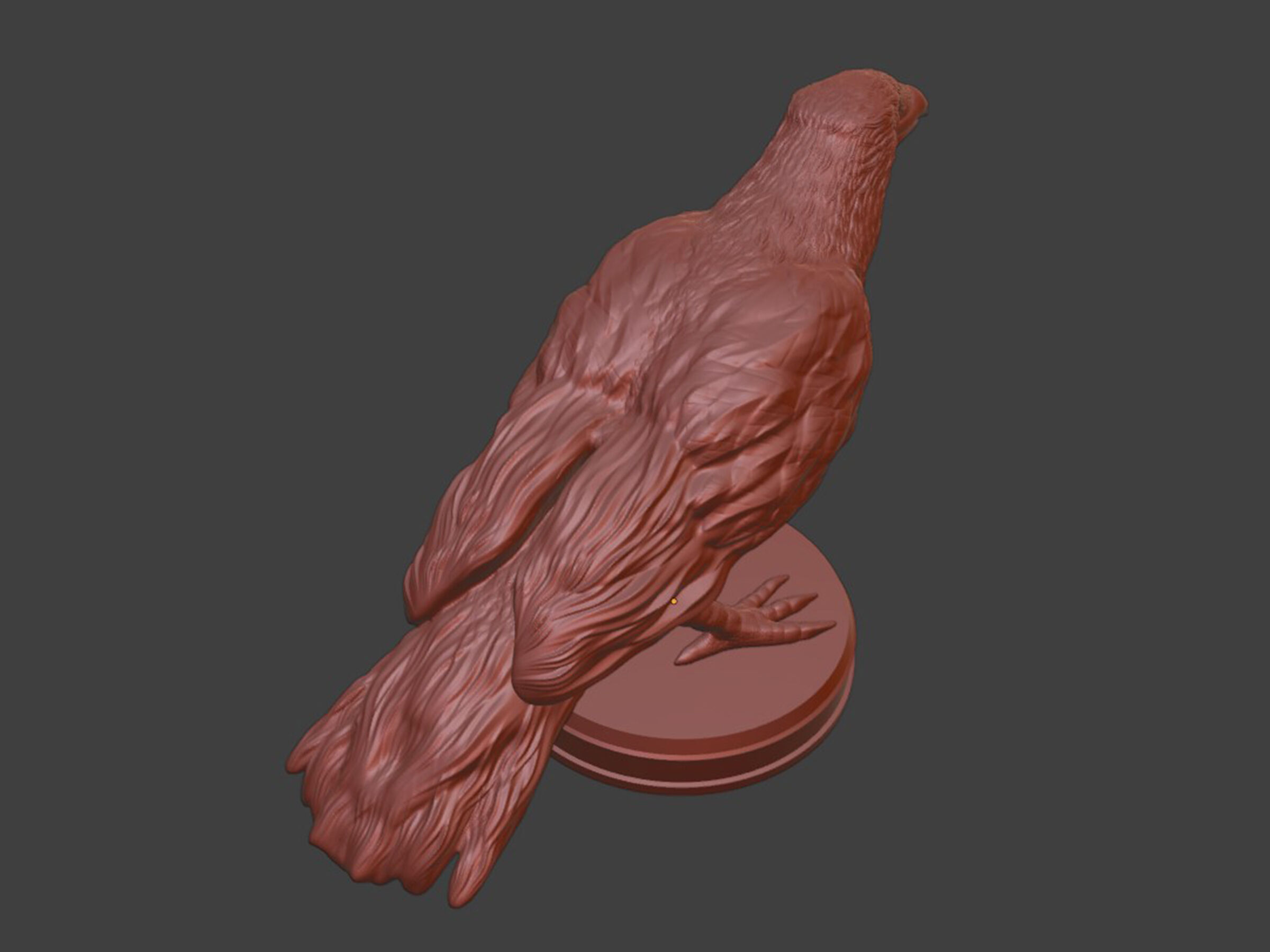 Realistic Crow Bird 3D print model_9