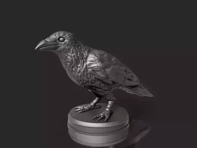 Realistic Crow Bird