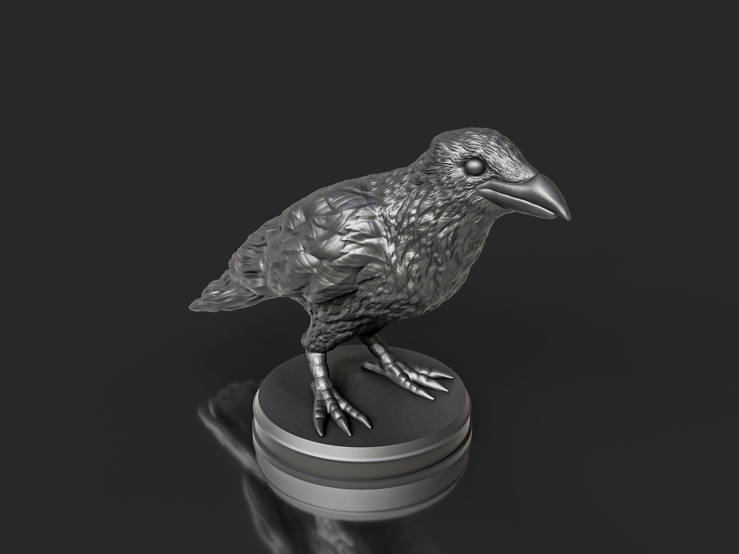 Realistic Crow Bird 3D print model_2