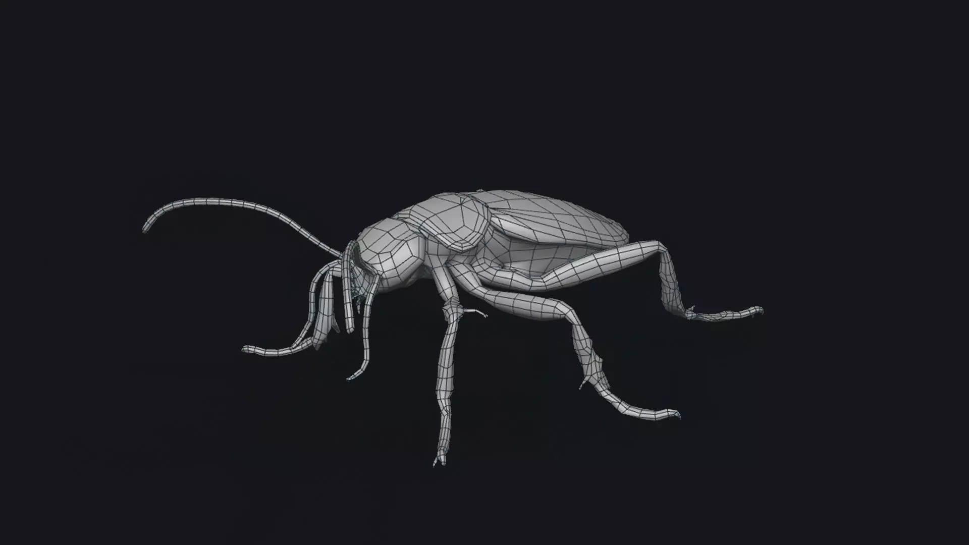 Cockroach 3D Model of an Insect Low-poly 3D model_2