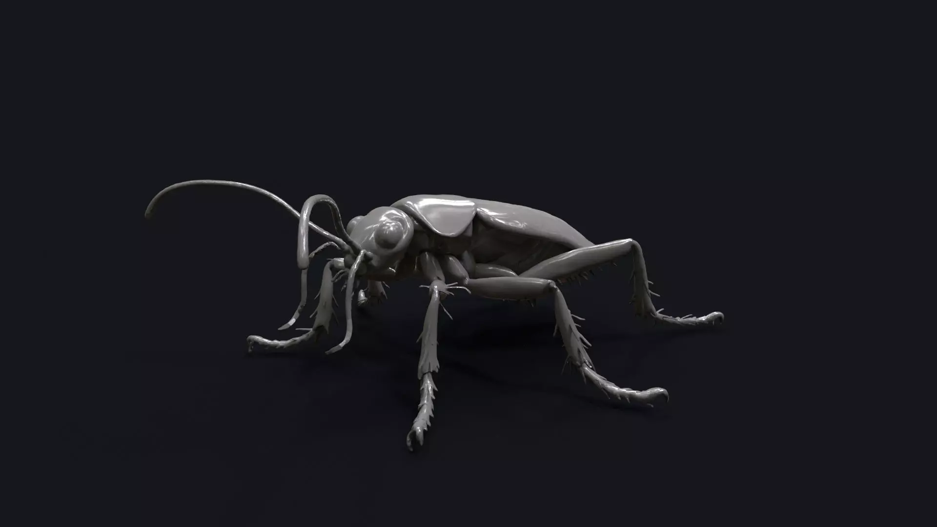 Cockroach 3D Model of an Insect Low-poly 3D model_1