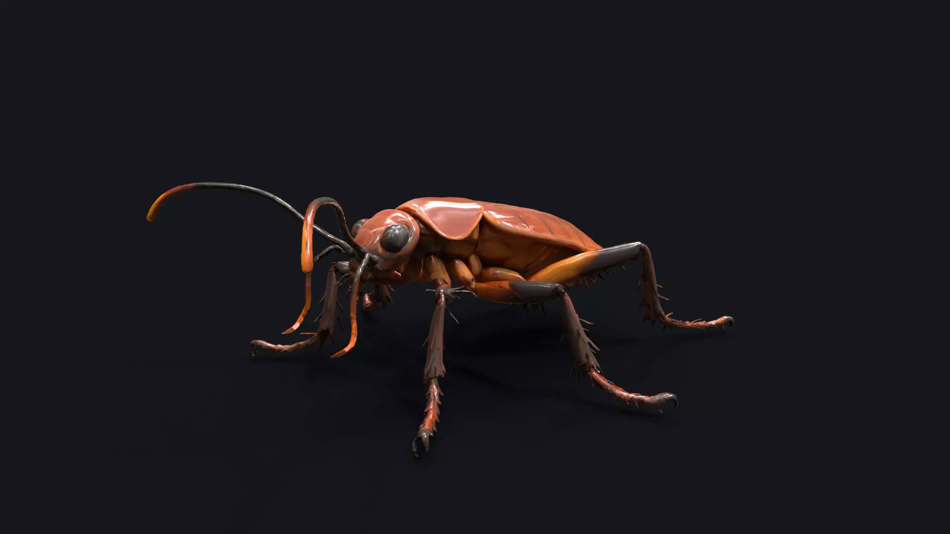 Cockroach 3D Model of an Insect Low-poly 3D model_0