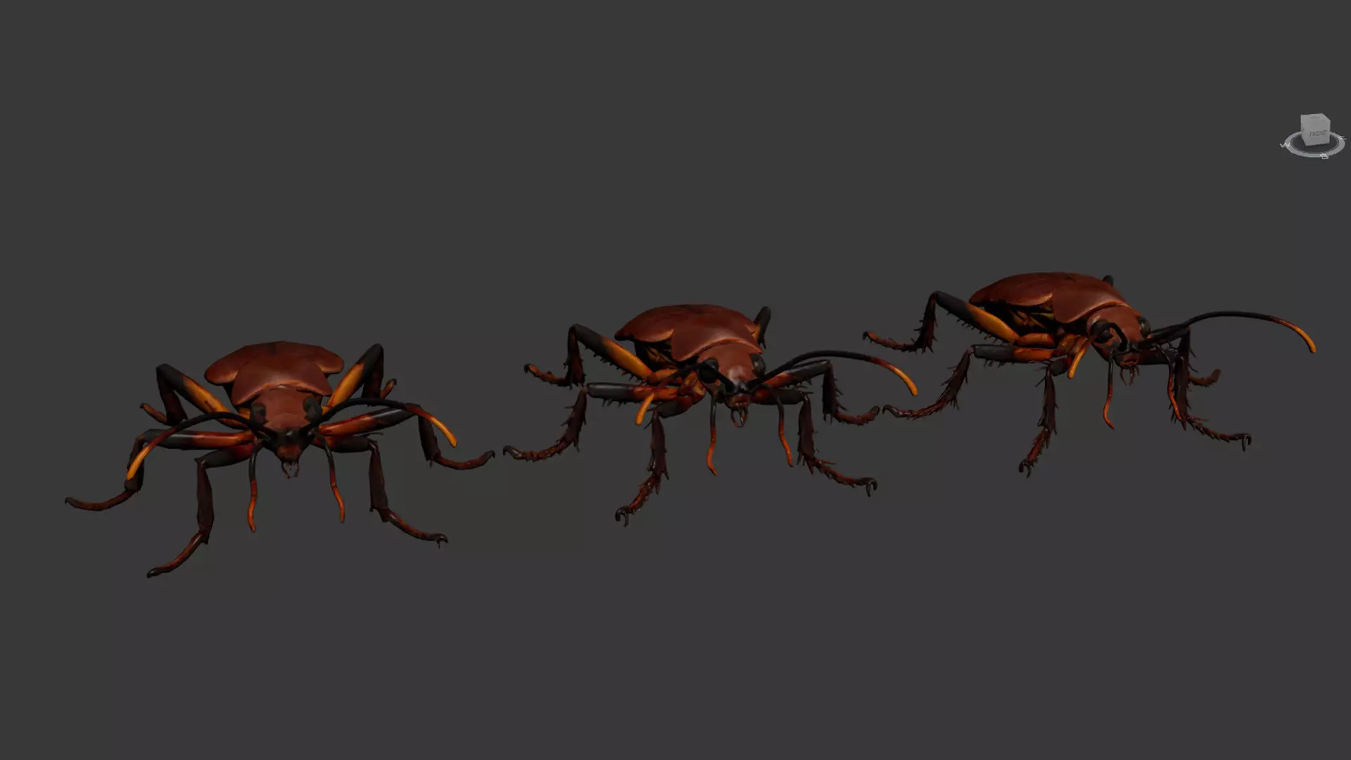 Cockroach 3D Model of an Insect Low-poly 3D model_4