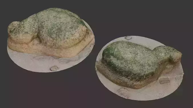 Mossy Beach Rock Scan