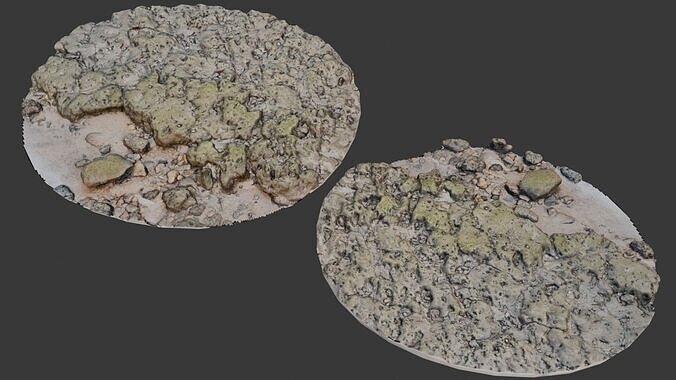 Mossy Rocky Ground scan Low-poly 3D model