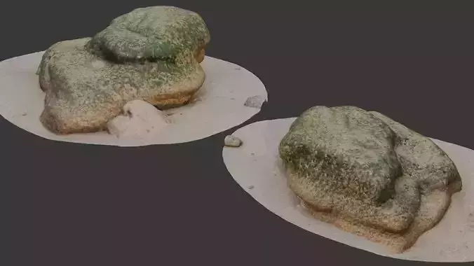 Mossy Beach Rock scan