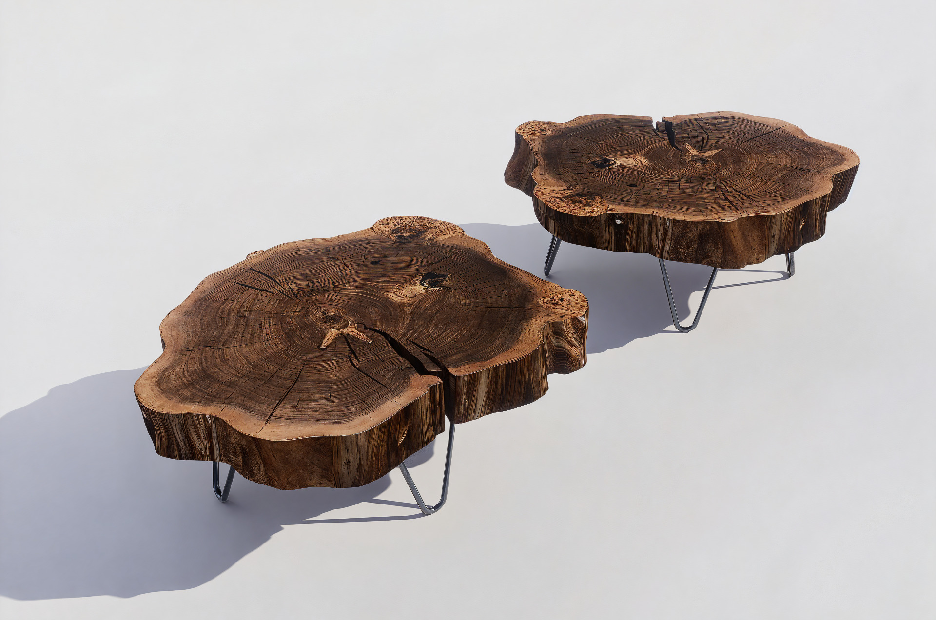 Tree Trunk Rustic Coffee Table 3D model 3D model_1