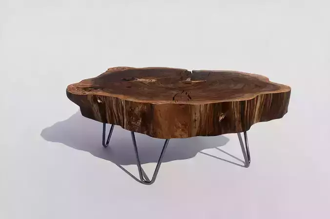 Tree Trunk Rustic Coffee Table 3D model