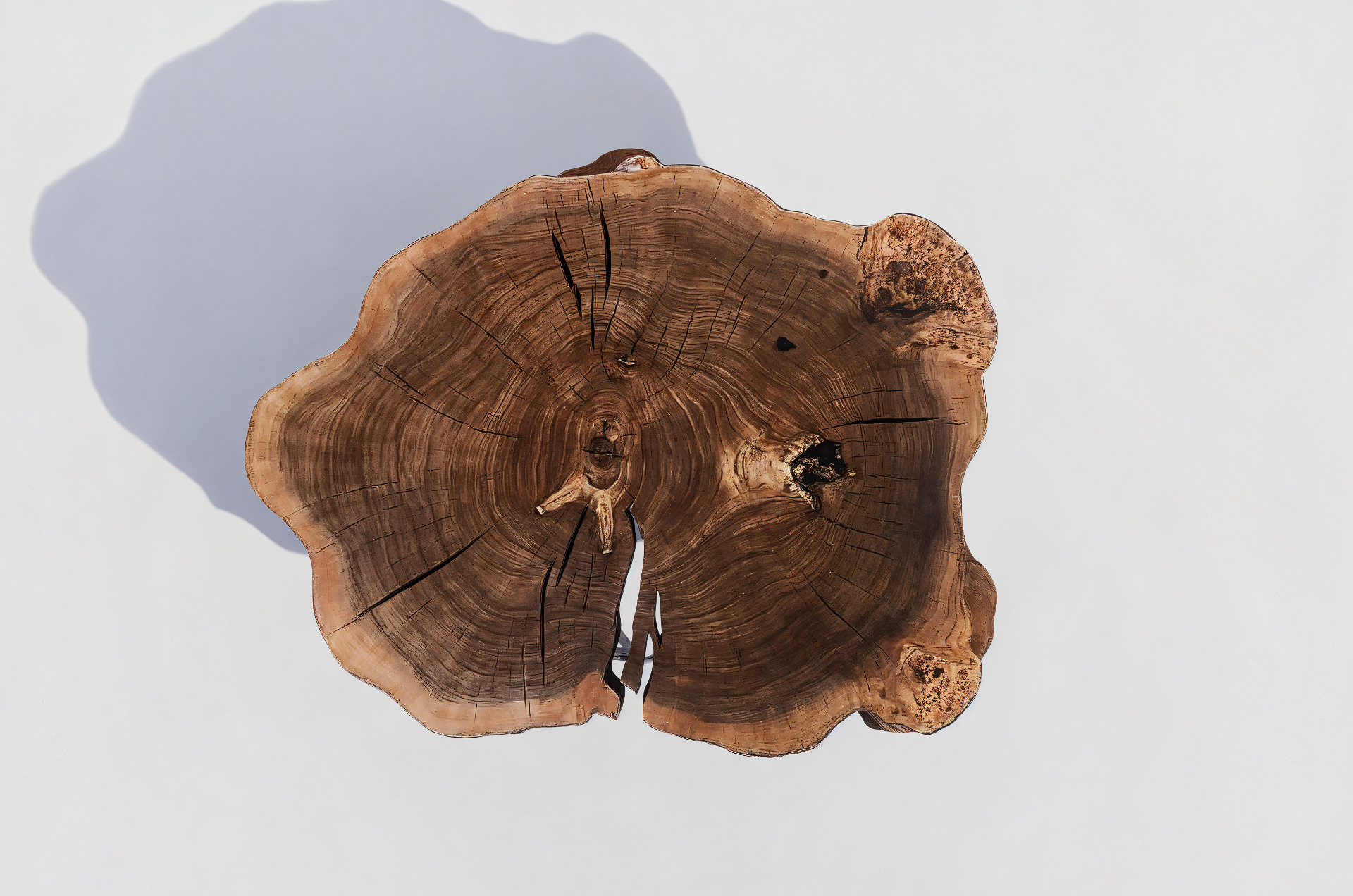 Tree Trunk Rustic Coffee Table 3D model 3D model_3
