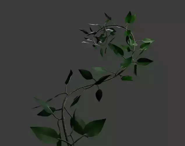 Simple Vine