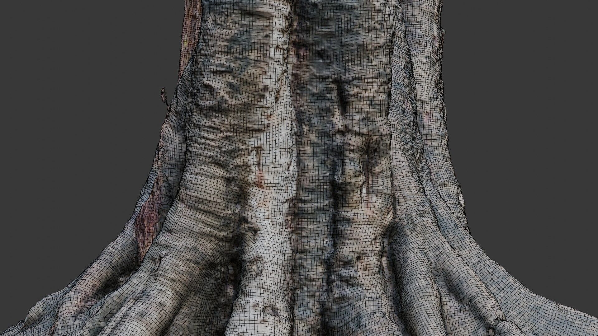 Ancient Tree Stump with Roots scan Low-poly 3D model_2