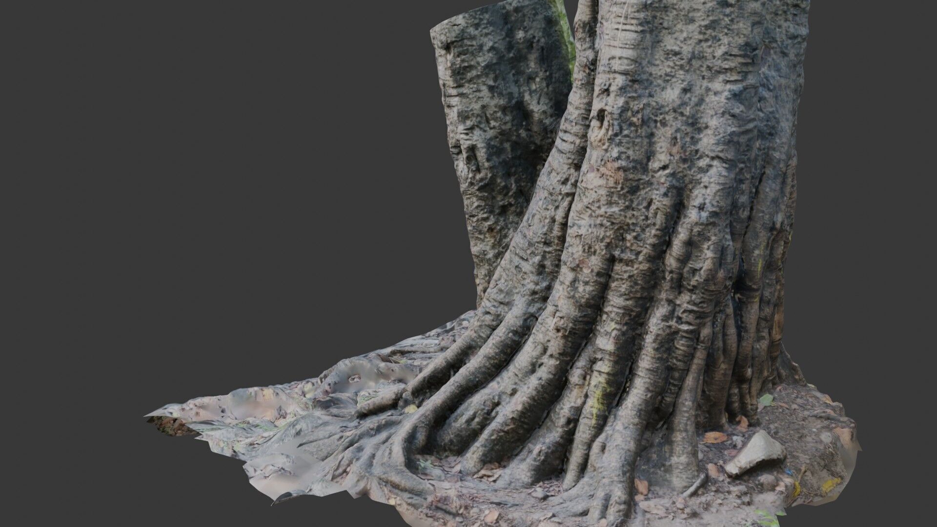 Ancient Tree Stump with Roots scan Low-poly 3D model_6