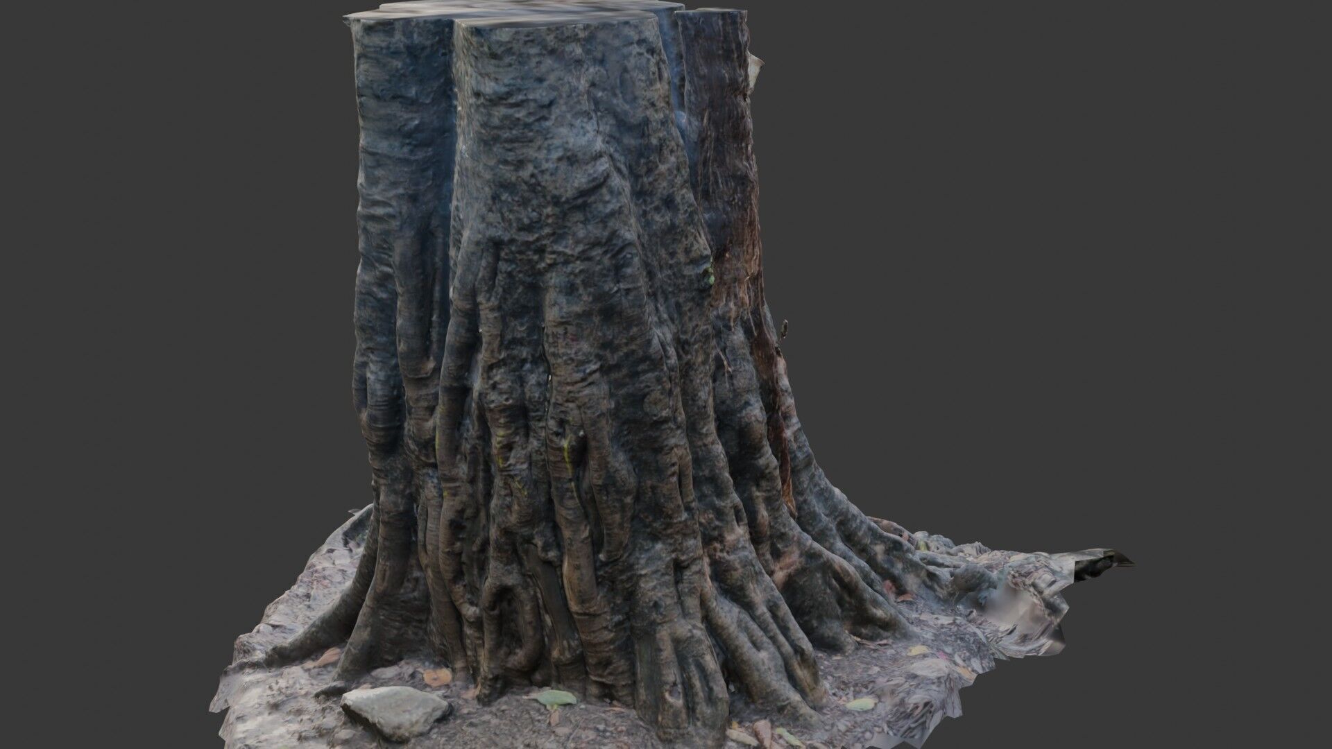 Ancient Tree Stump with Roots scan Low-poly 3D model_5