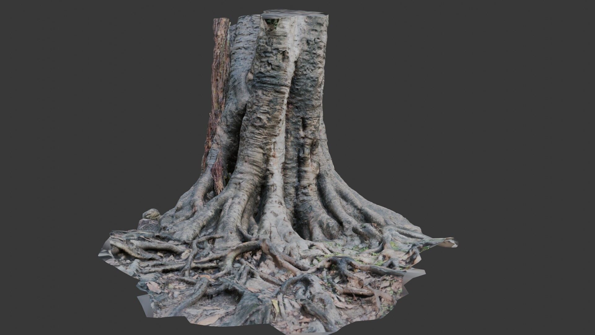Ancient Tree Stump with Roots scan Low-poly 3D model_1