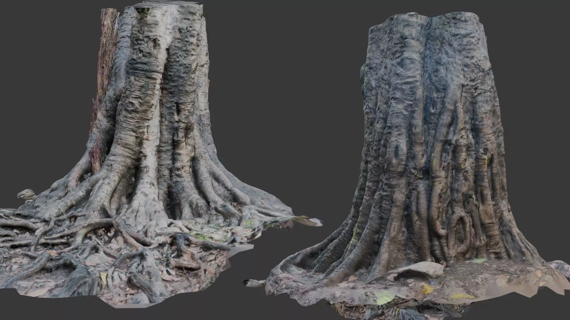 Ancient Tree Stump with Roots scan Low-poly 3D model_0