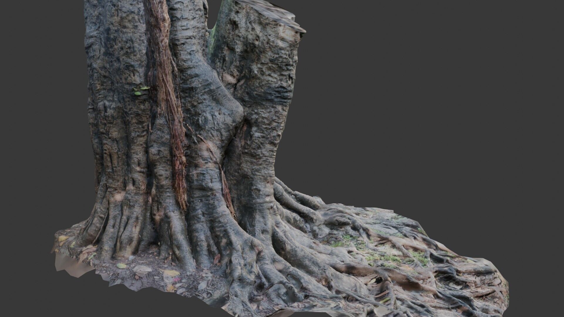 Ancient Tree Stump with Roots scan Low-poly 3D model_4
