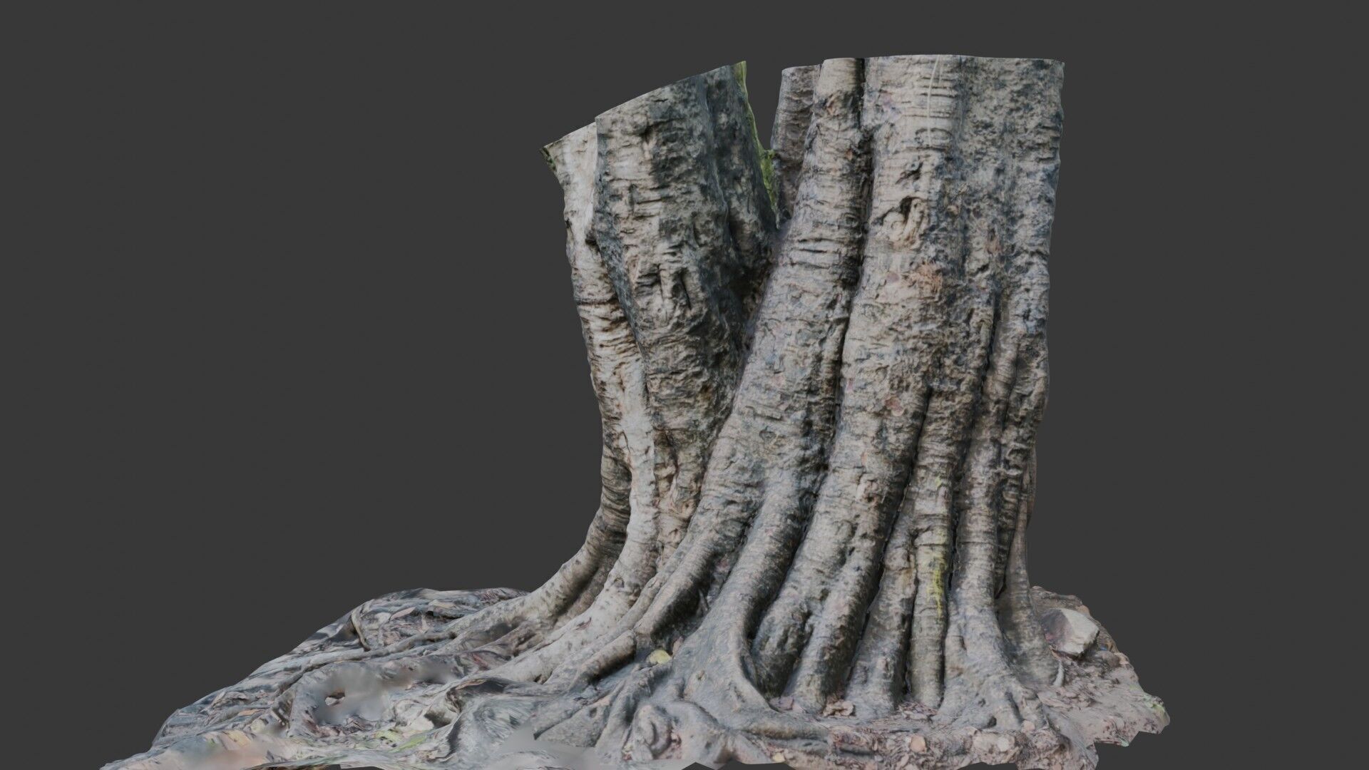 Ancient Tree Stump with Roots scan Low-poly 3D model_7