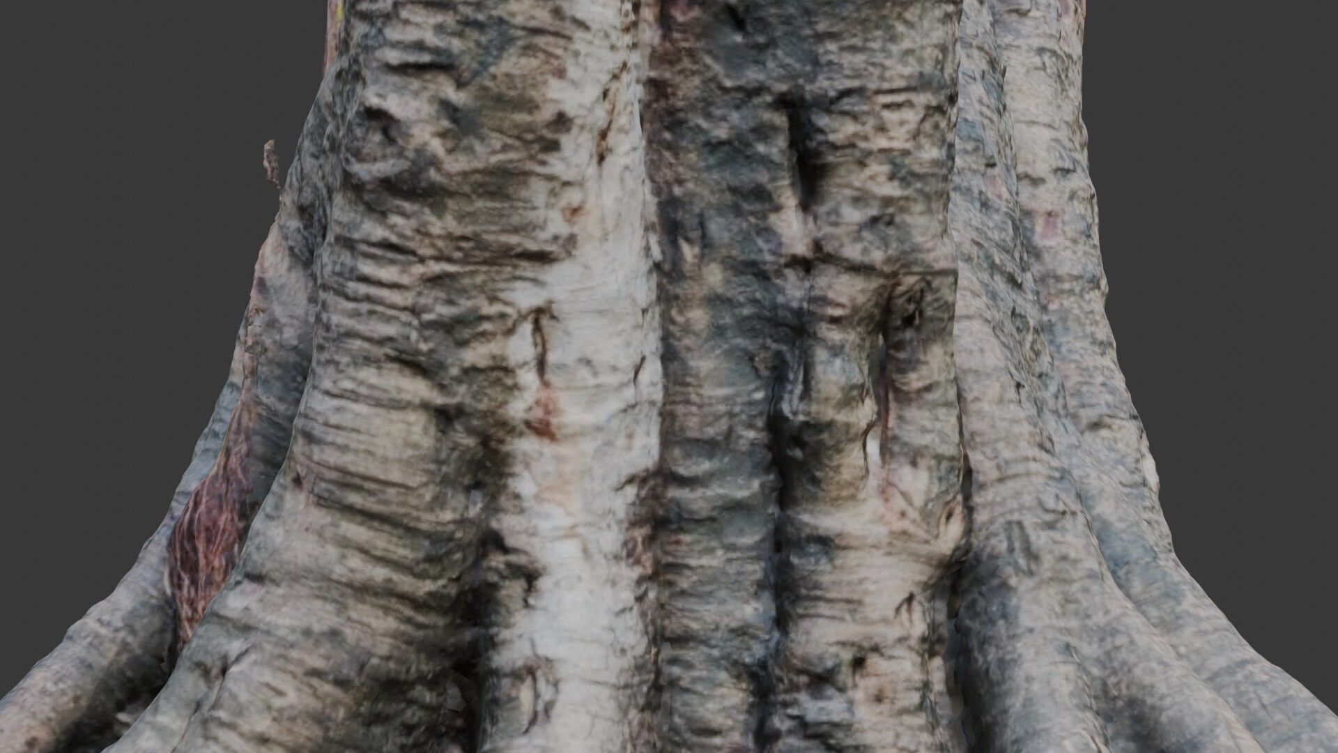 Ancient Tree Stump with Roots scan Low-poly 3D model_3