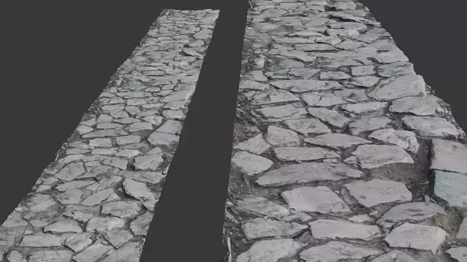 Old Stone Pathway  scan Low-poly 3D model