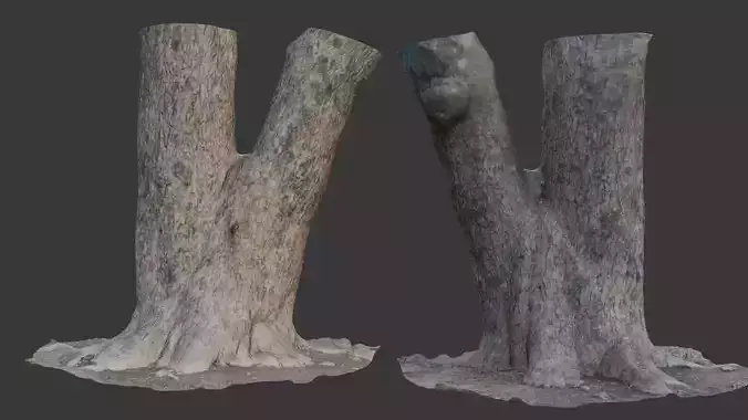 Realistic Forked Tree Trun scan