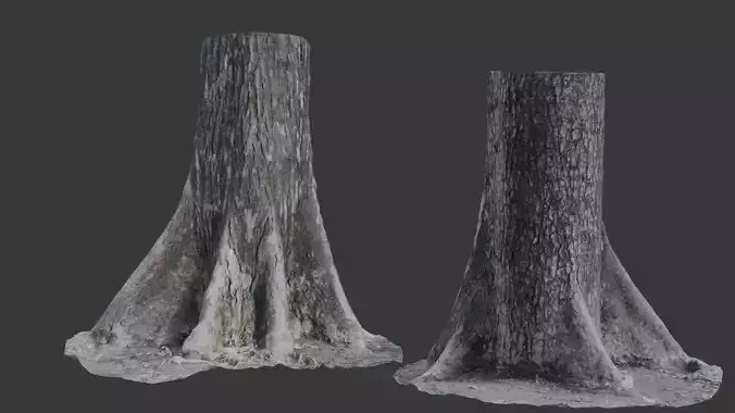 Old Tree Stump 3D Scan