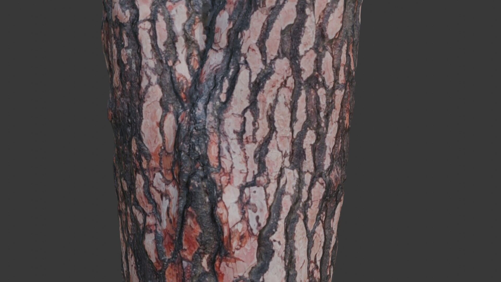 Pine Tree Trunk 3D Scan Low-poly 3D model_3