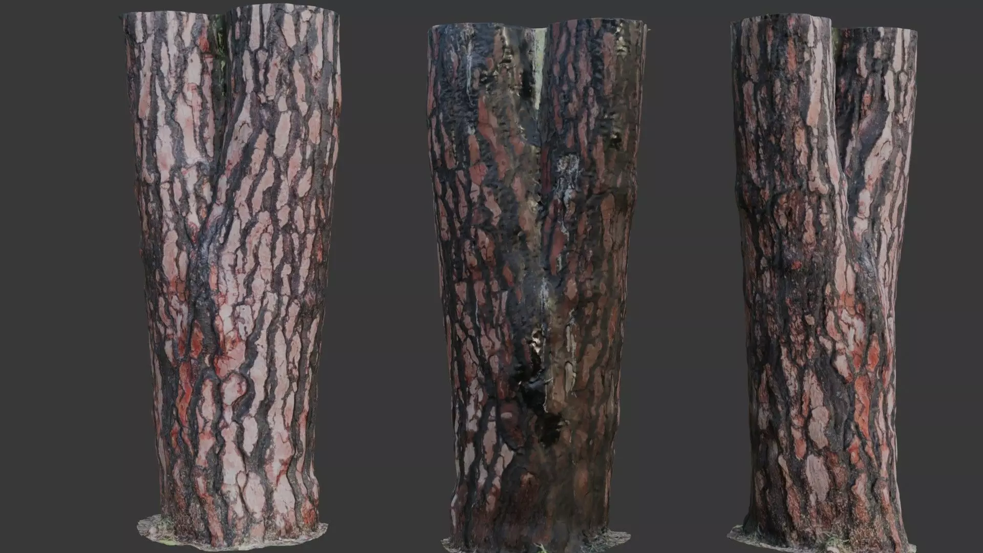 Pine Tree Trunk 3D Scan Low-poly 3D model_0