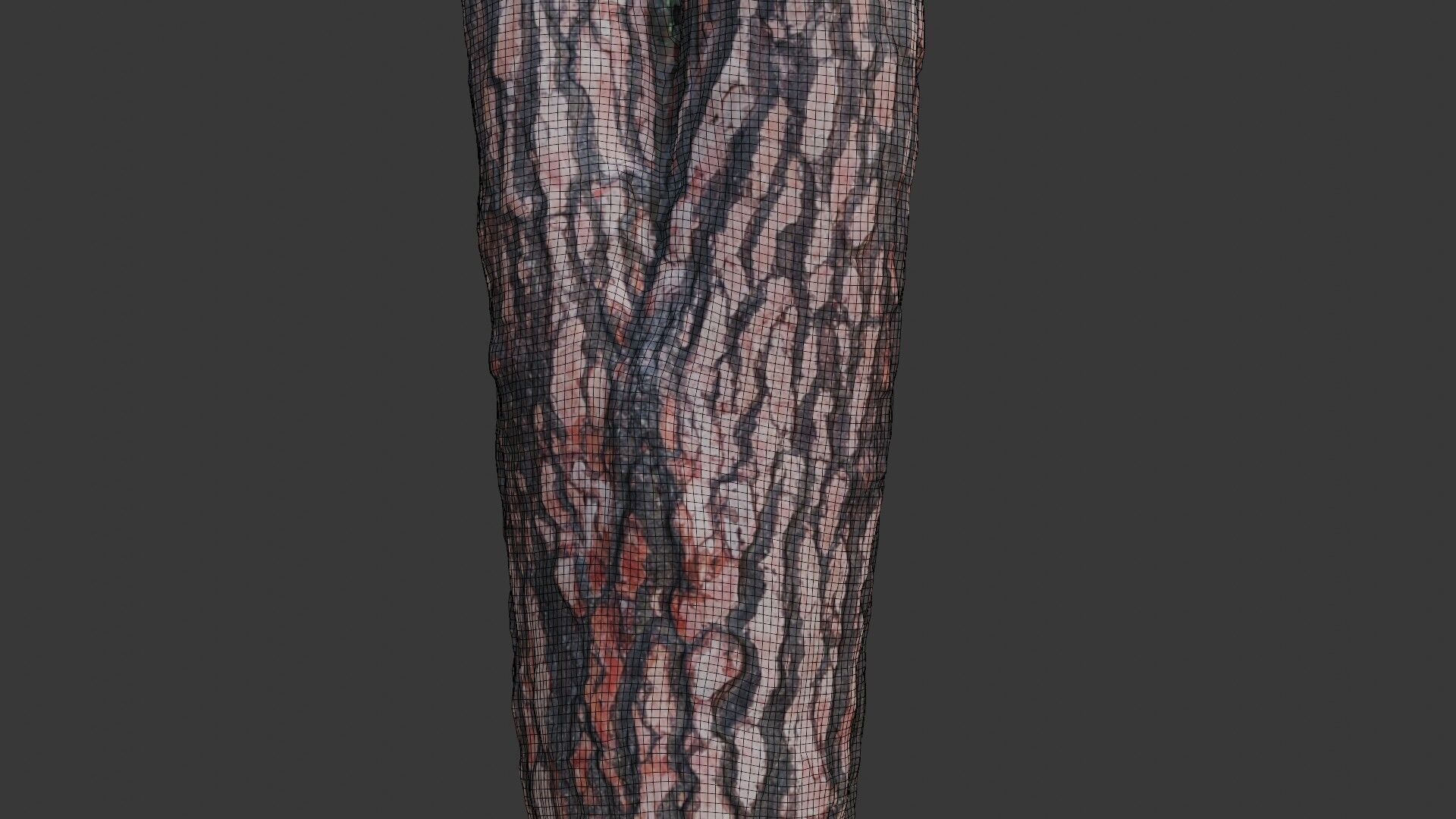 Pine Tree Trunk 3D Scan Low-poly 3D model_2