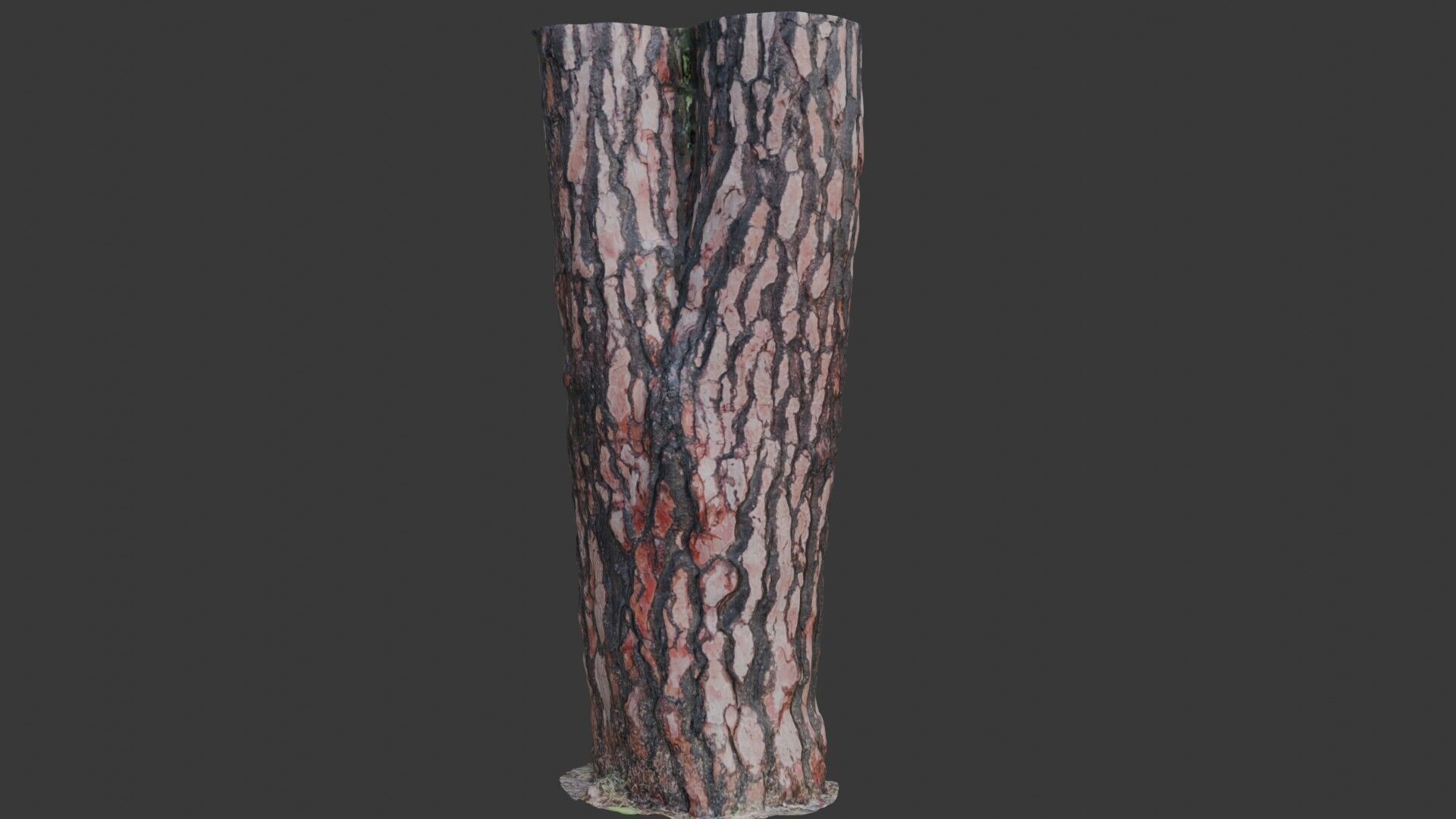 Pine Tree Trunk 3D Scan Low-poly 3D model_1