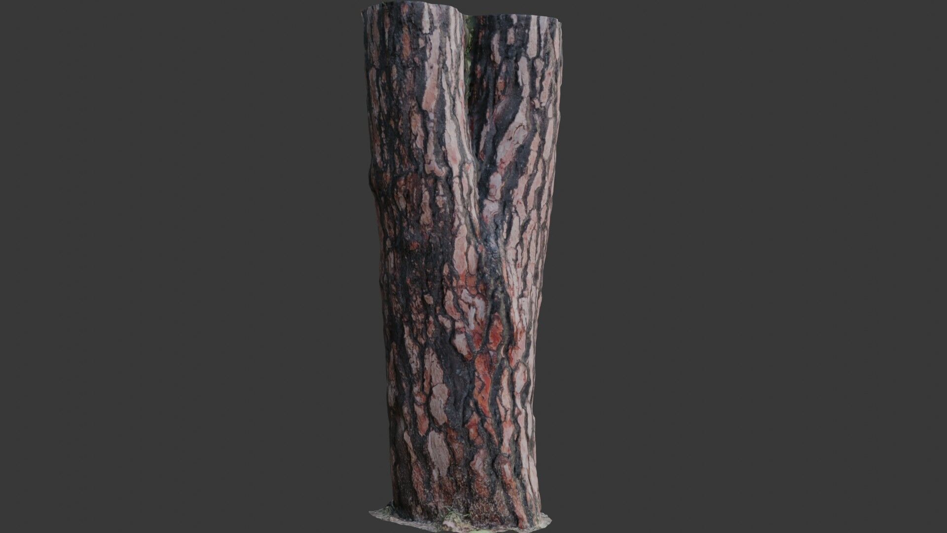 Pine Tree Trunk 3D Scan Low-poly 3D model_4