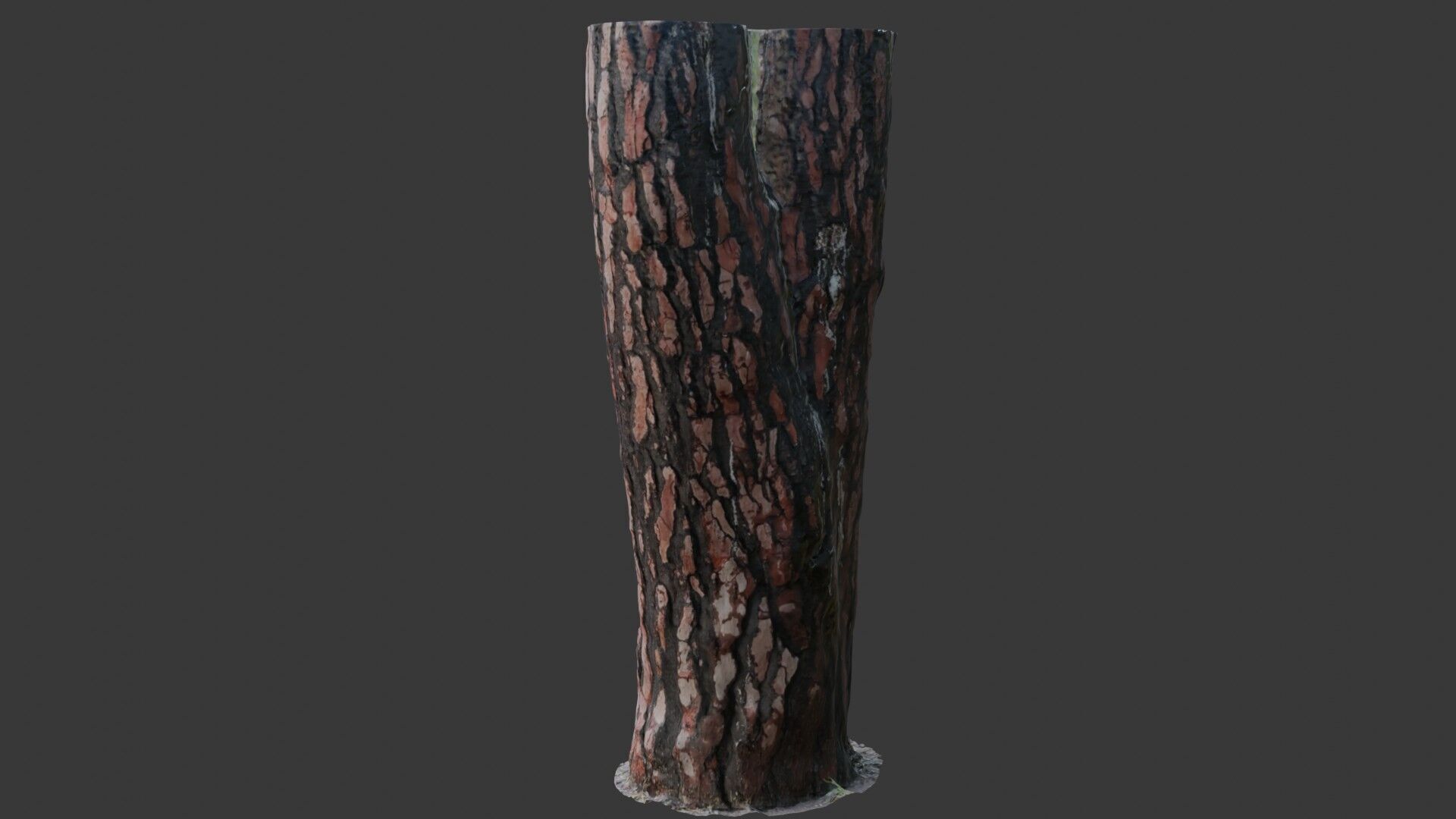 Pine Tree Trunk 3D Scan Low-poly 3D model_7