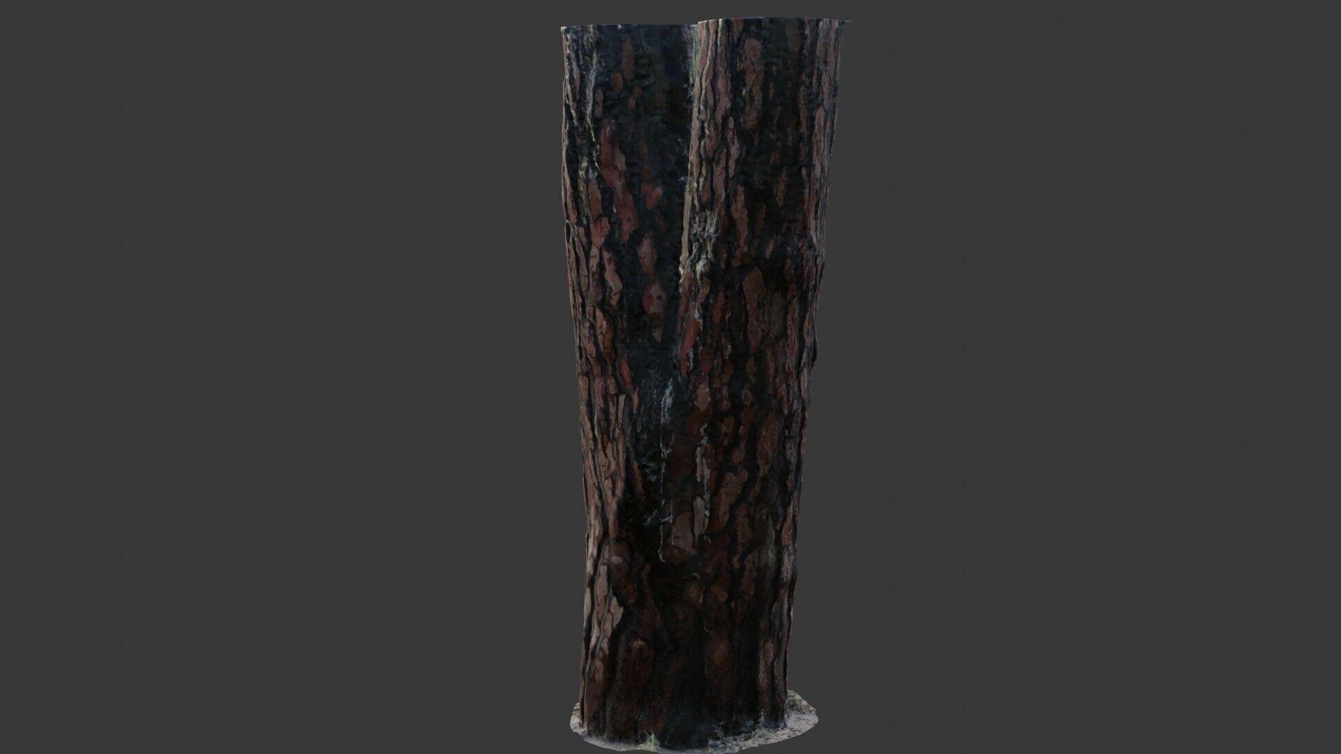 Pine Tree Trunk 3D Scan Low-poly 3D model_6