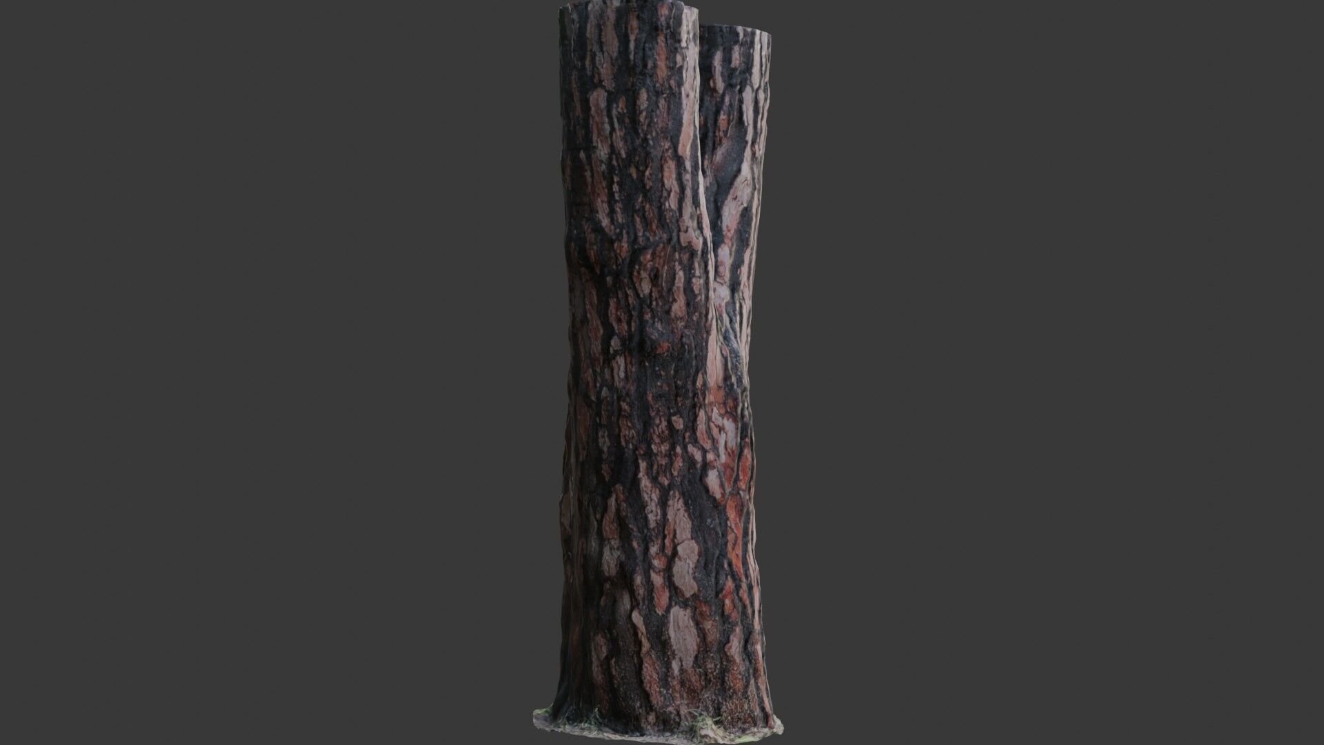Pine Tree Trunk 3D Scan Low-poly 3D model_5
