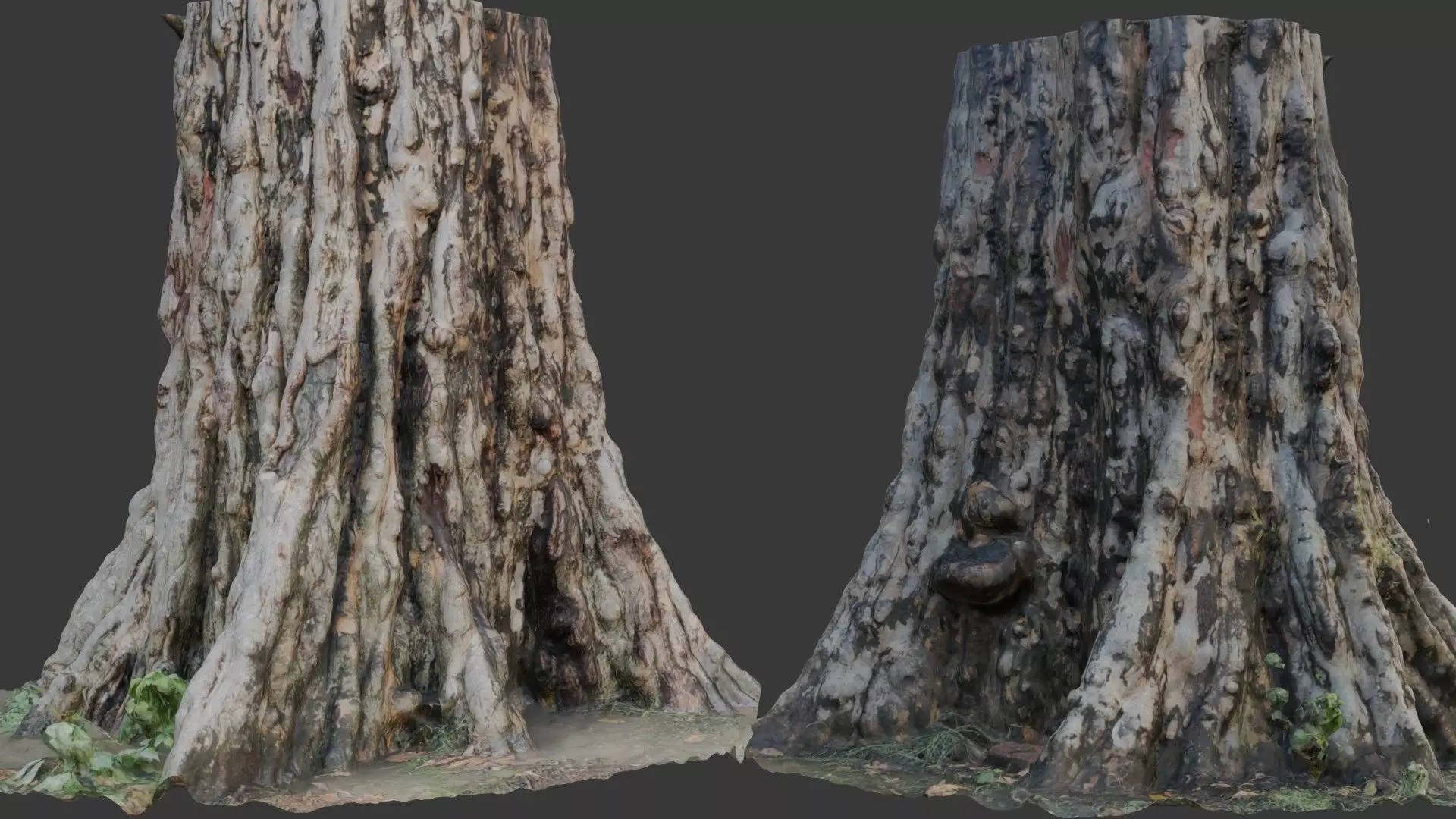 Ancient Tree Stump 3D Scan Low-poly 3D model_0