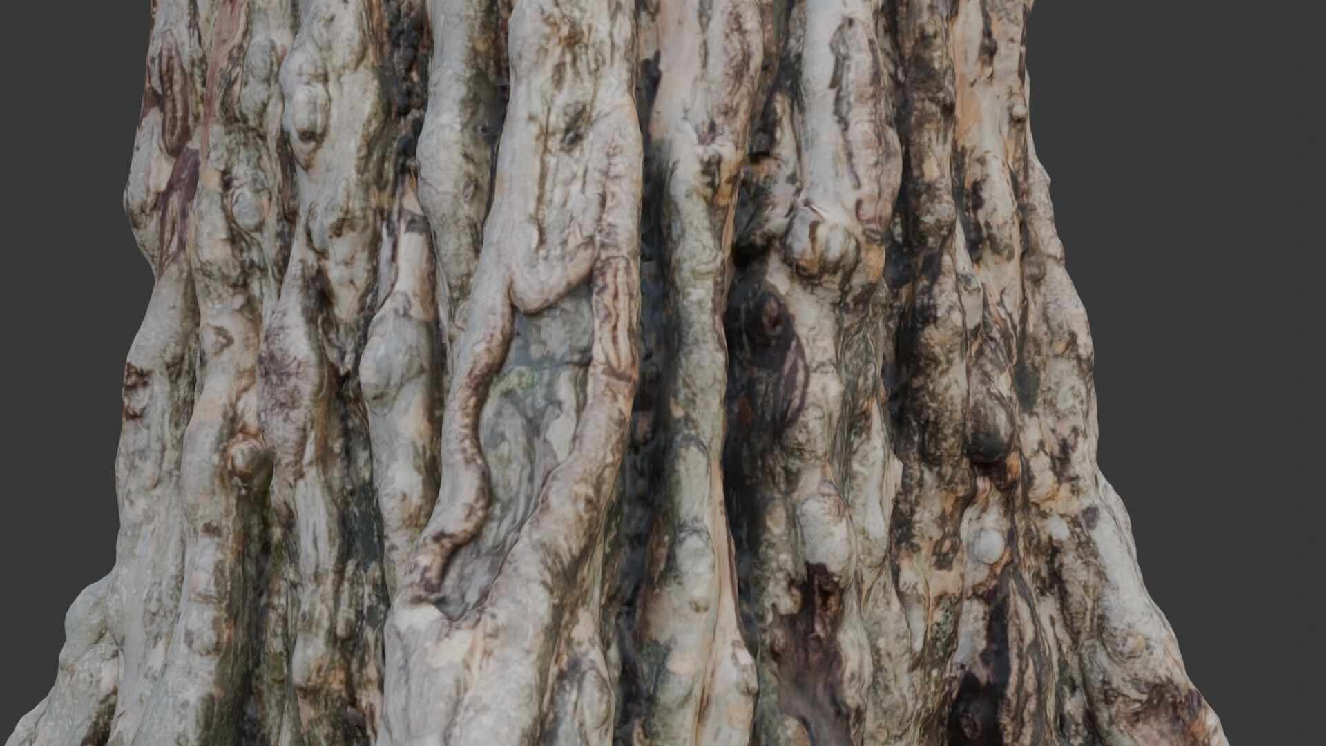 Ancient Tree Stump 3D Scan Low-poly 3D model_3