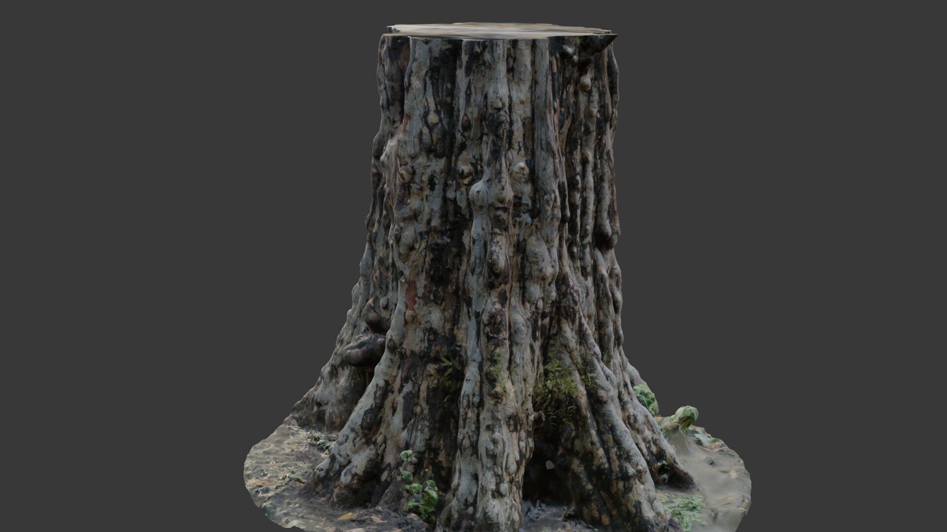 Ancient Tree Stump 3D Scan Low-poly 3D model_6