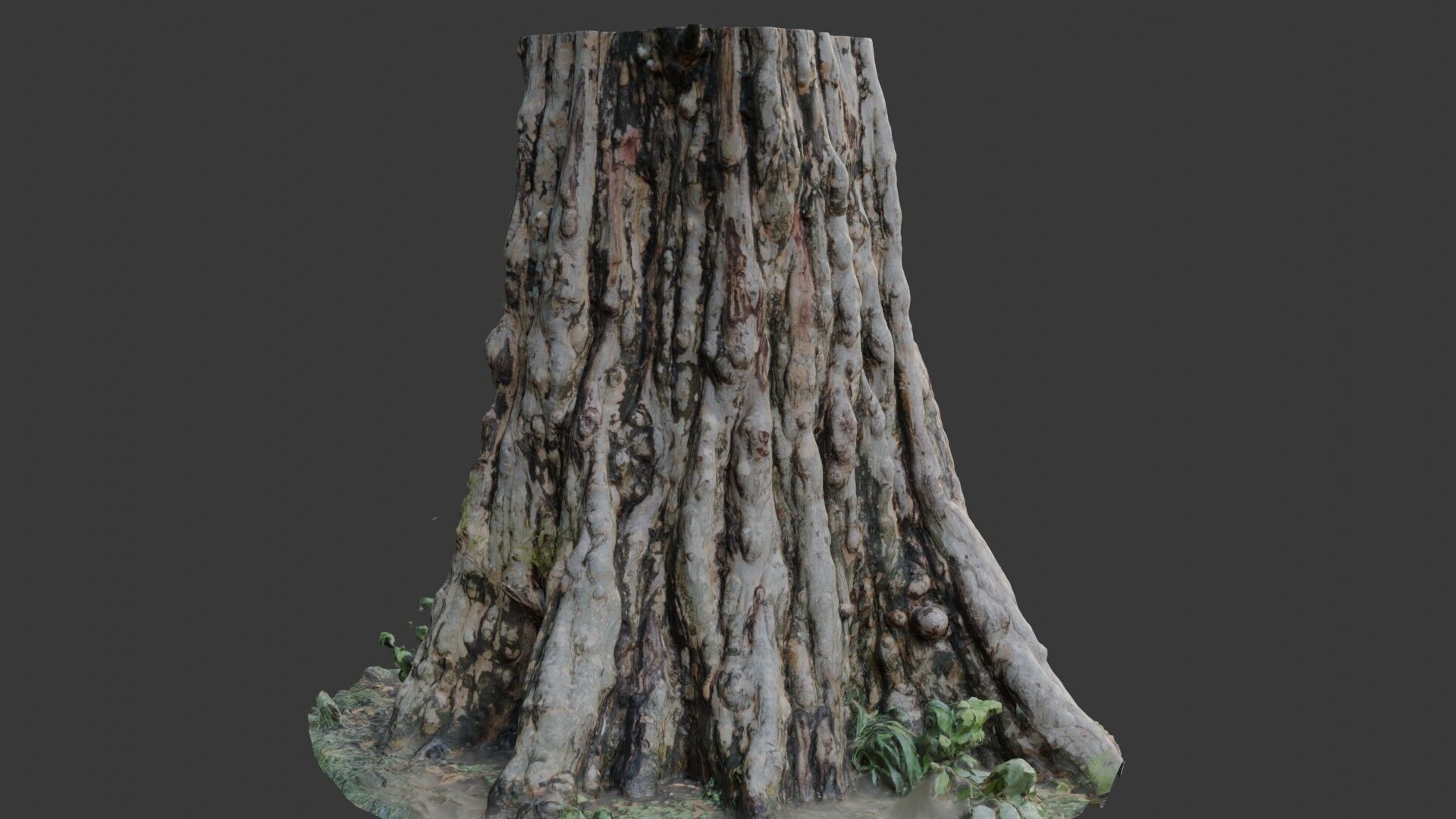 Ancient Tree Stump 3D Scan Low-poly 3D model_5