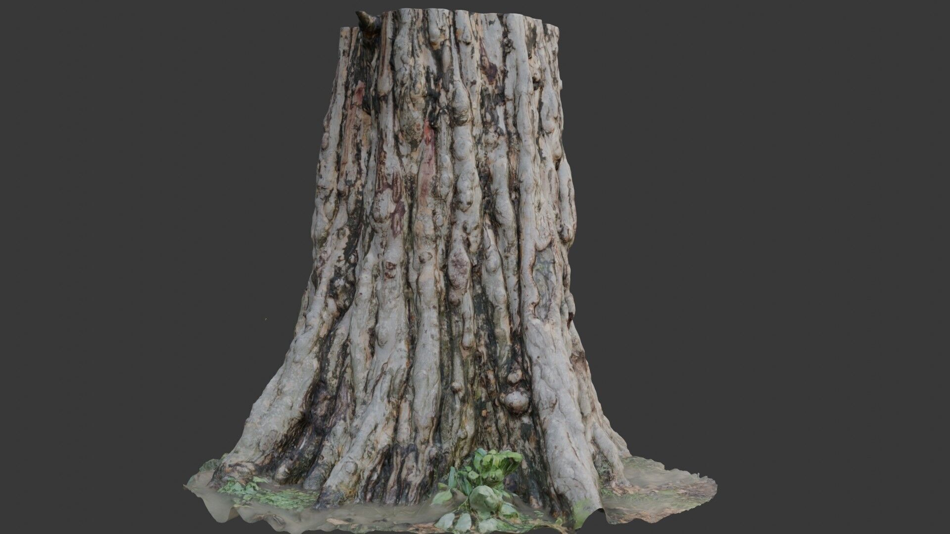 Ancient Tree Stump 3D Scan Low-poly 3D model_4