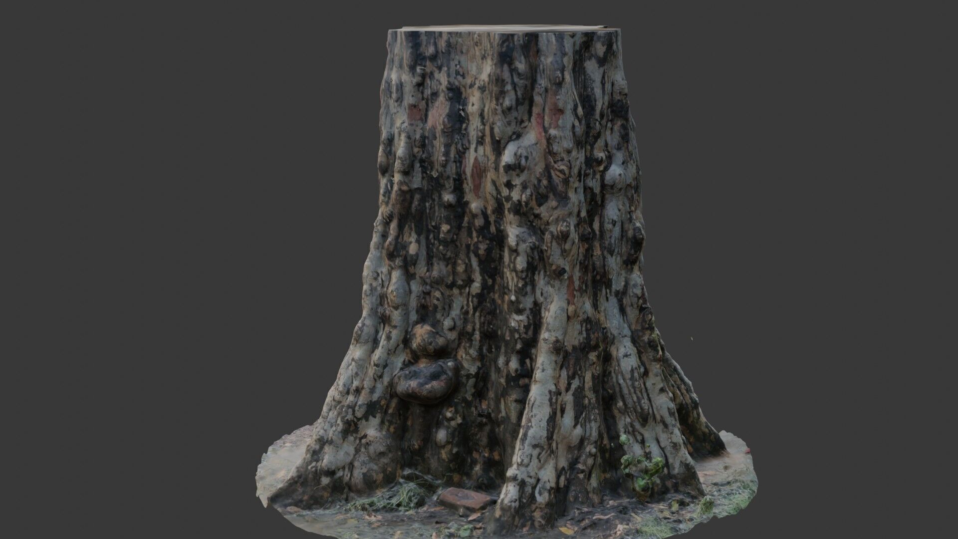 Ancient Tree Stump 3D Scan Low-poly 3D model_7