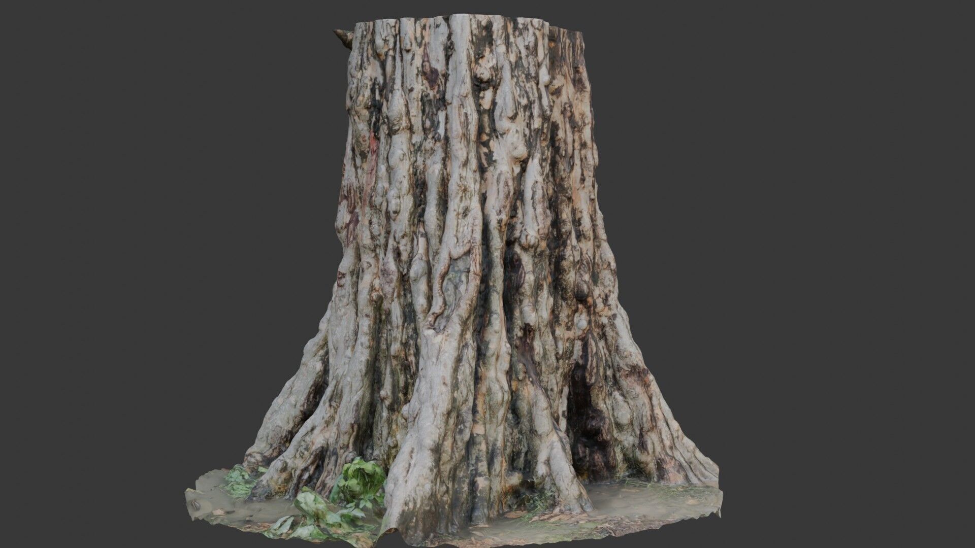Ancient Tree Stump 3D Scan Low-poly 3D model_1